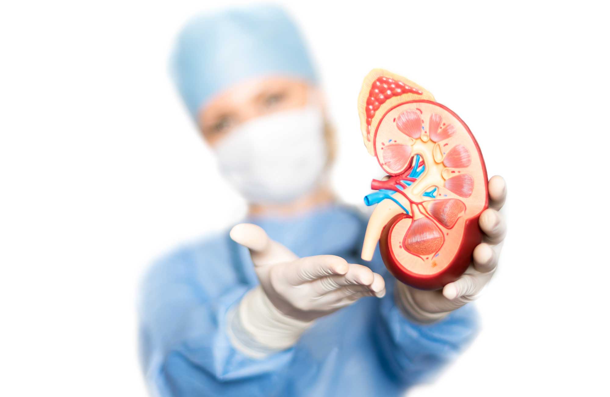 shutterstock_360933155_headercrop